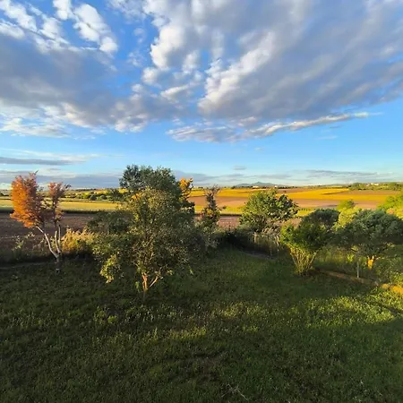 Leontsini Country *
